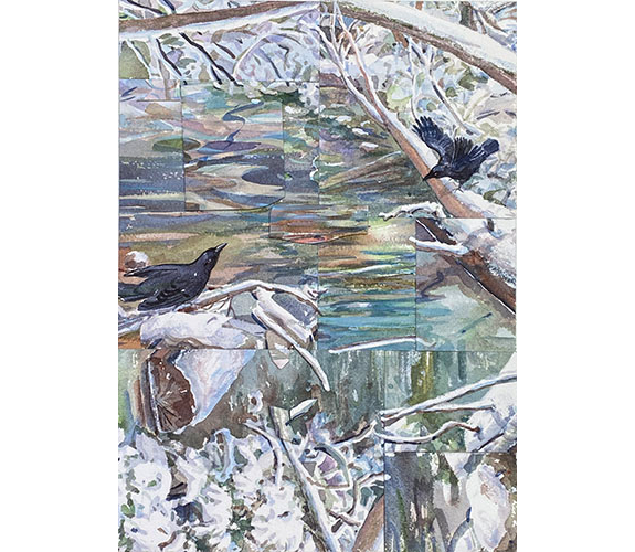 "Woodland Creek Winter 2" - Amy Fisher